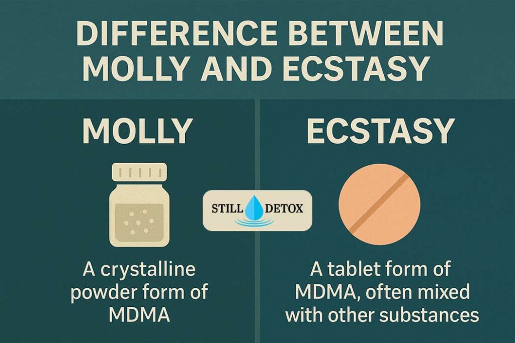difference between molly and ecstasy