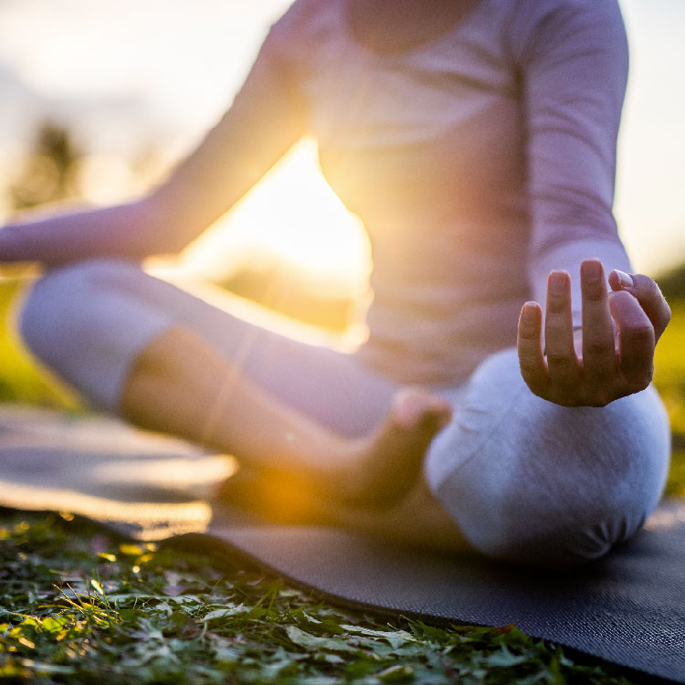 holistic detoxification approach