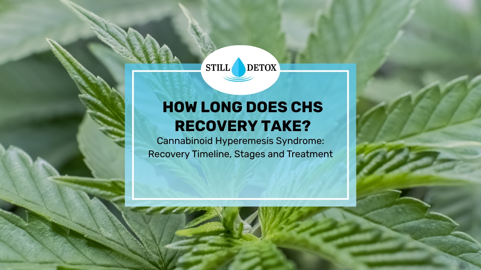How long does cannabinoid hyperemesis syndrome recovery take?