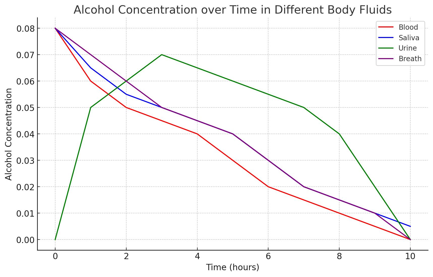 How Long Does Alcohol Stay in Your System? - Still Detox