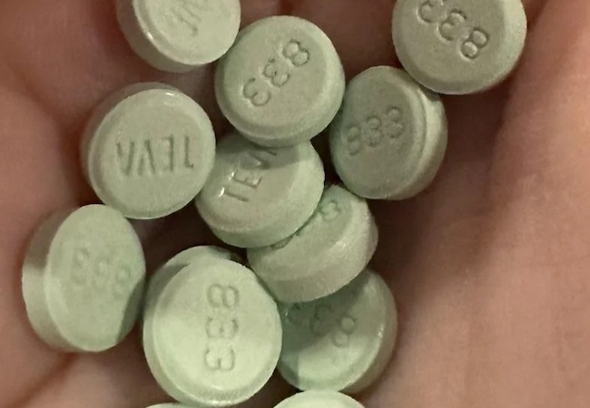 teva 833 pill