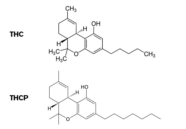 thc vs thcp formula