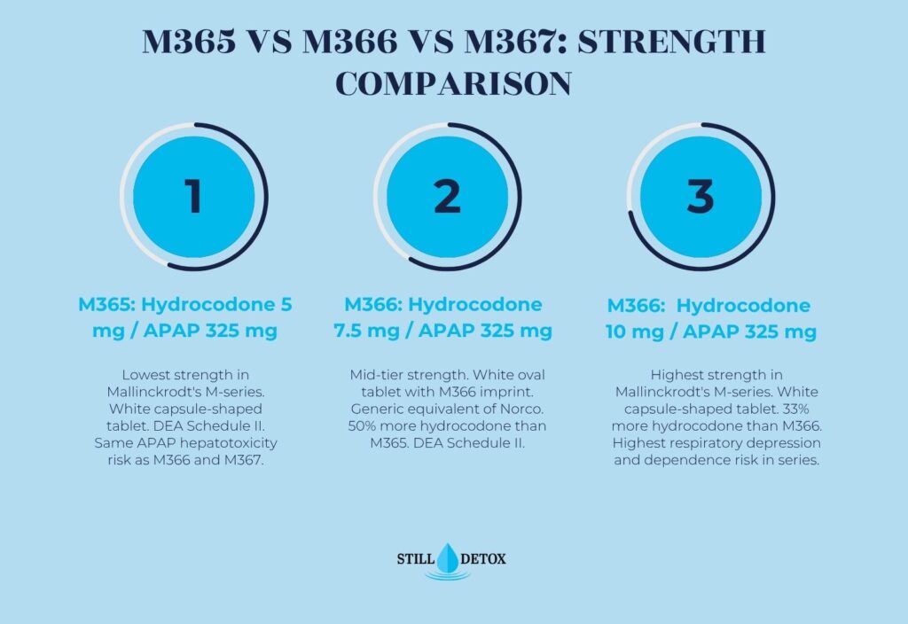 M365 vs M366 vs M367