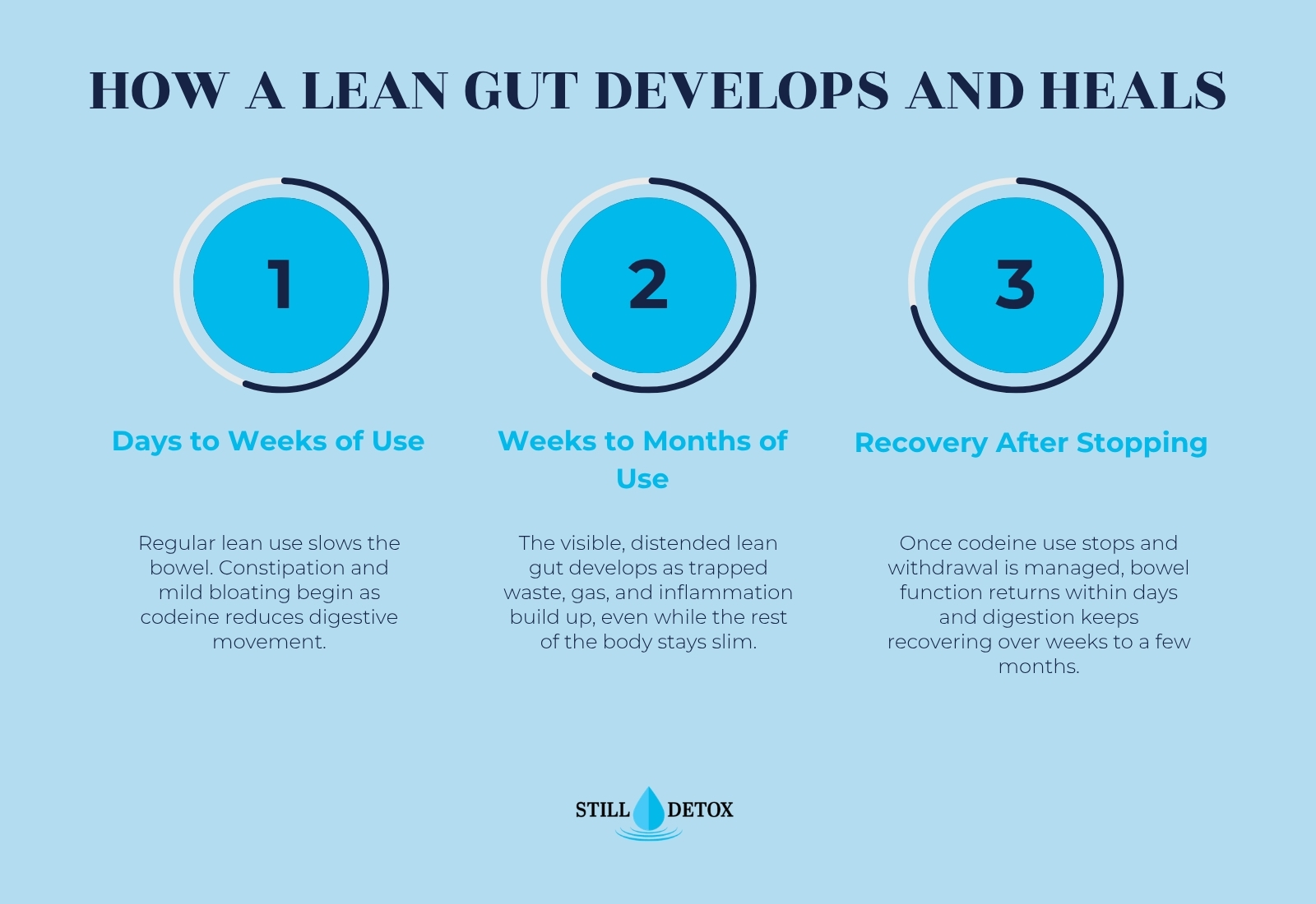 How a Lean Gut Develops and Heals