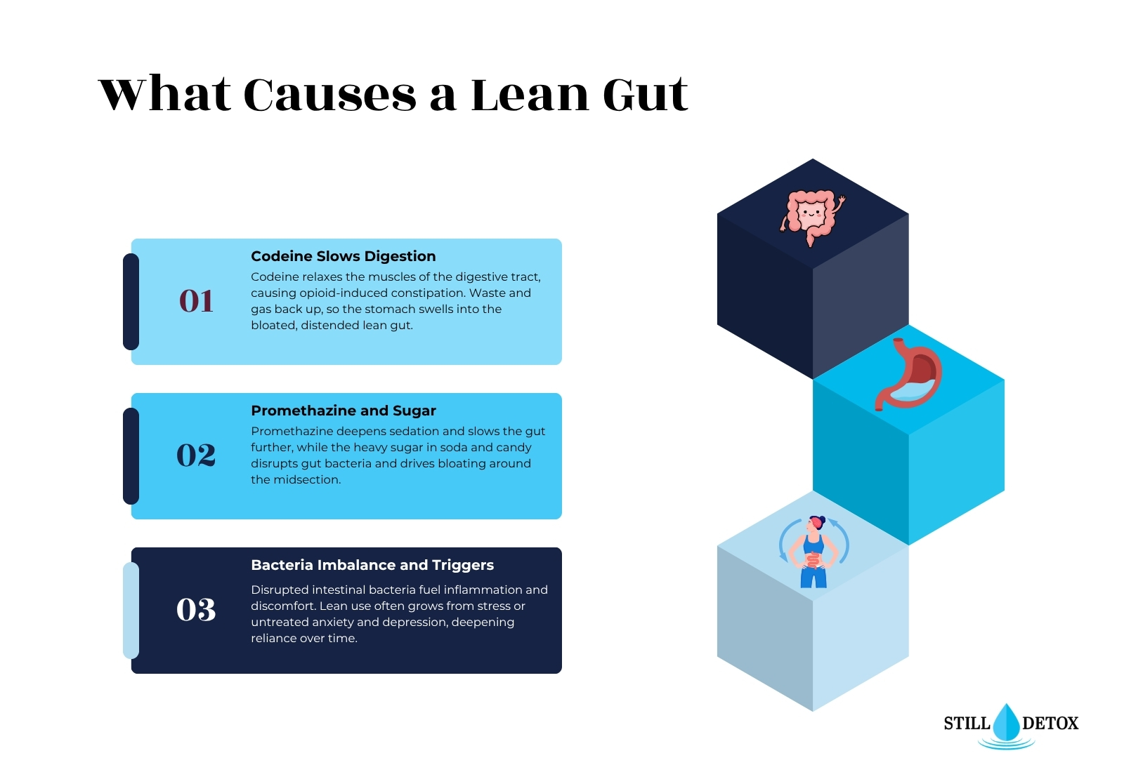 What Causes a Lean Gut