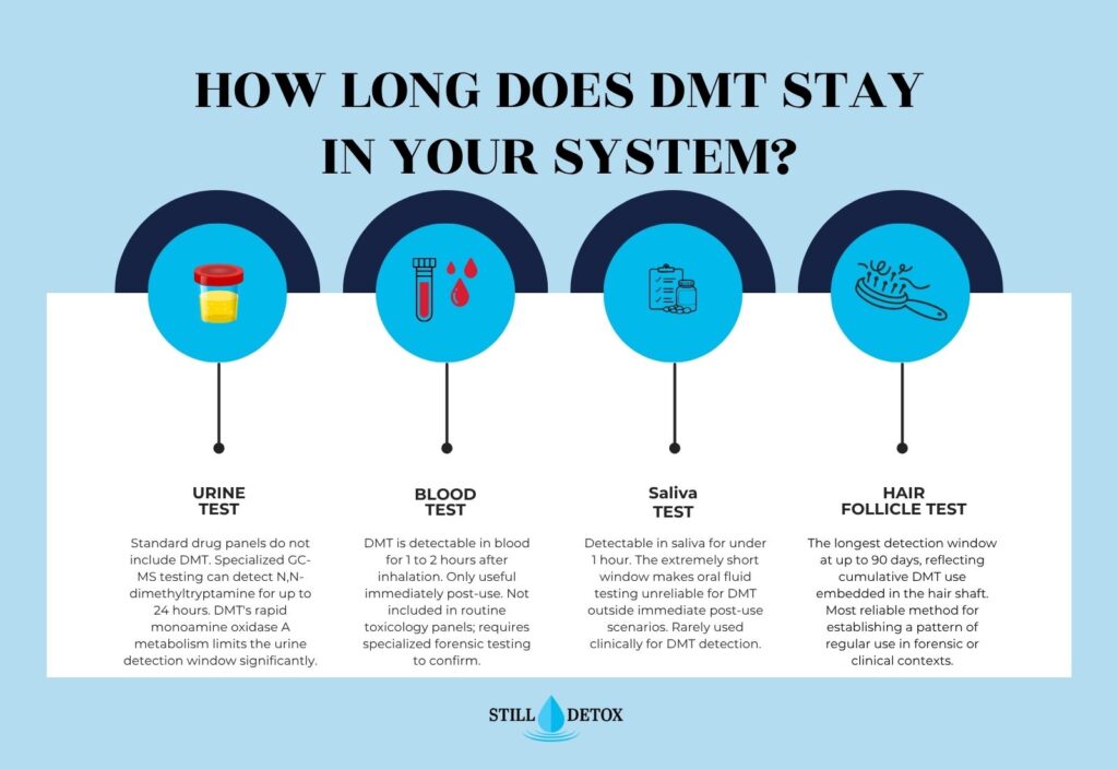 How long does DMT stay in your system