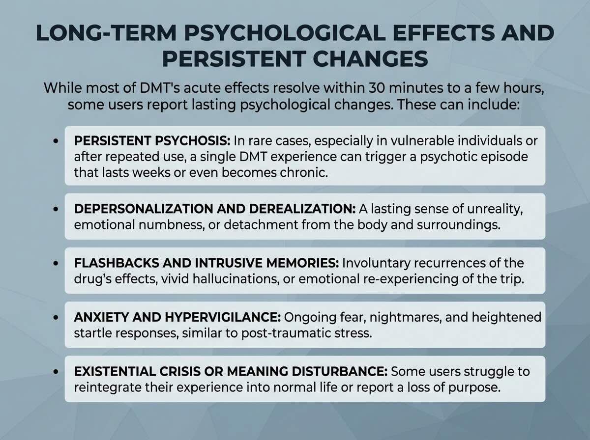 long term effects of dmt