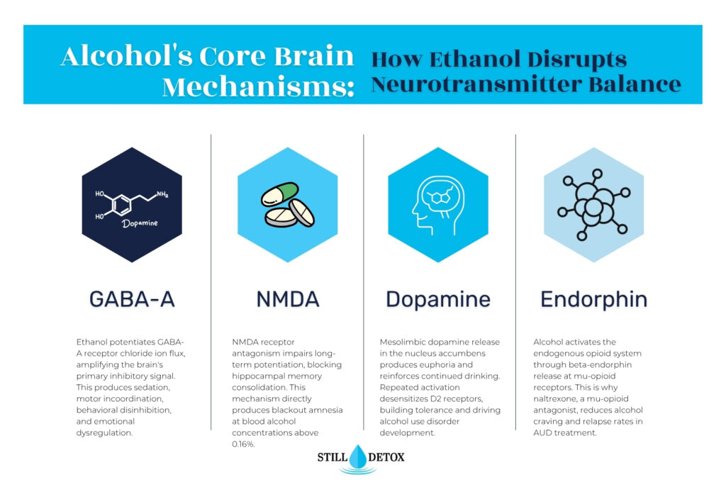 Alcohol neurotransmitter mechanisms