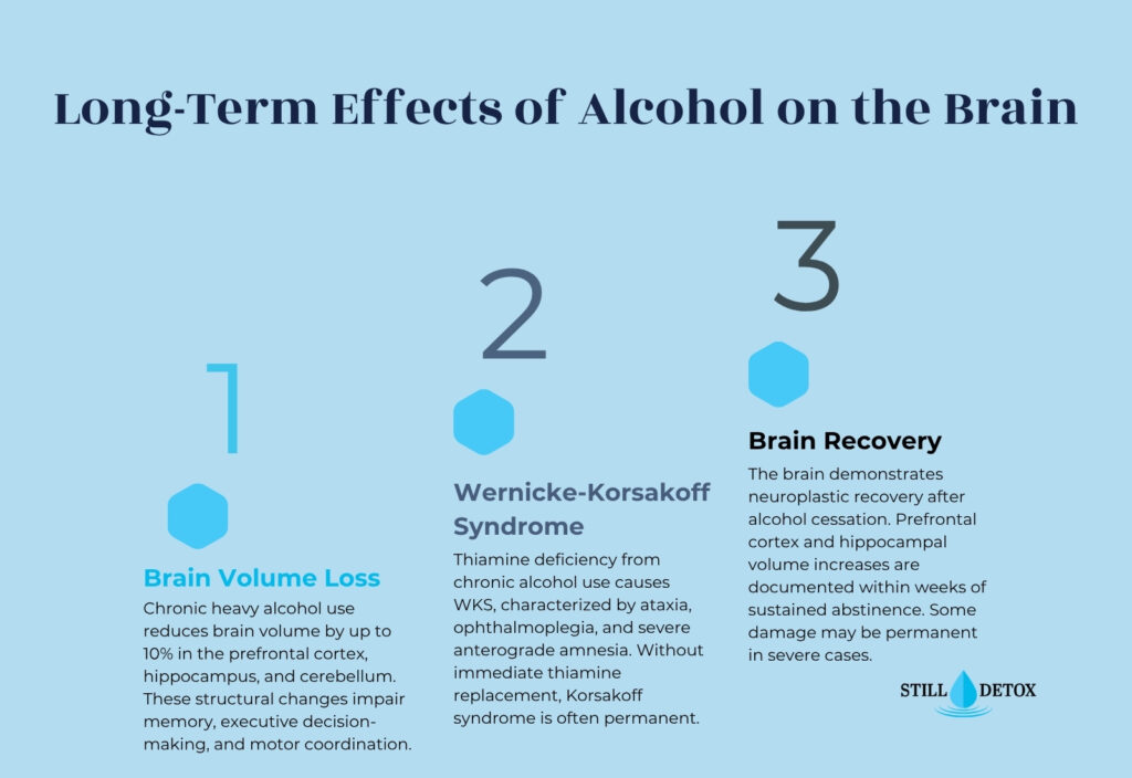 Long-term alcohol brain effects