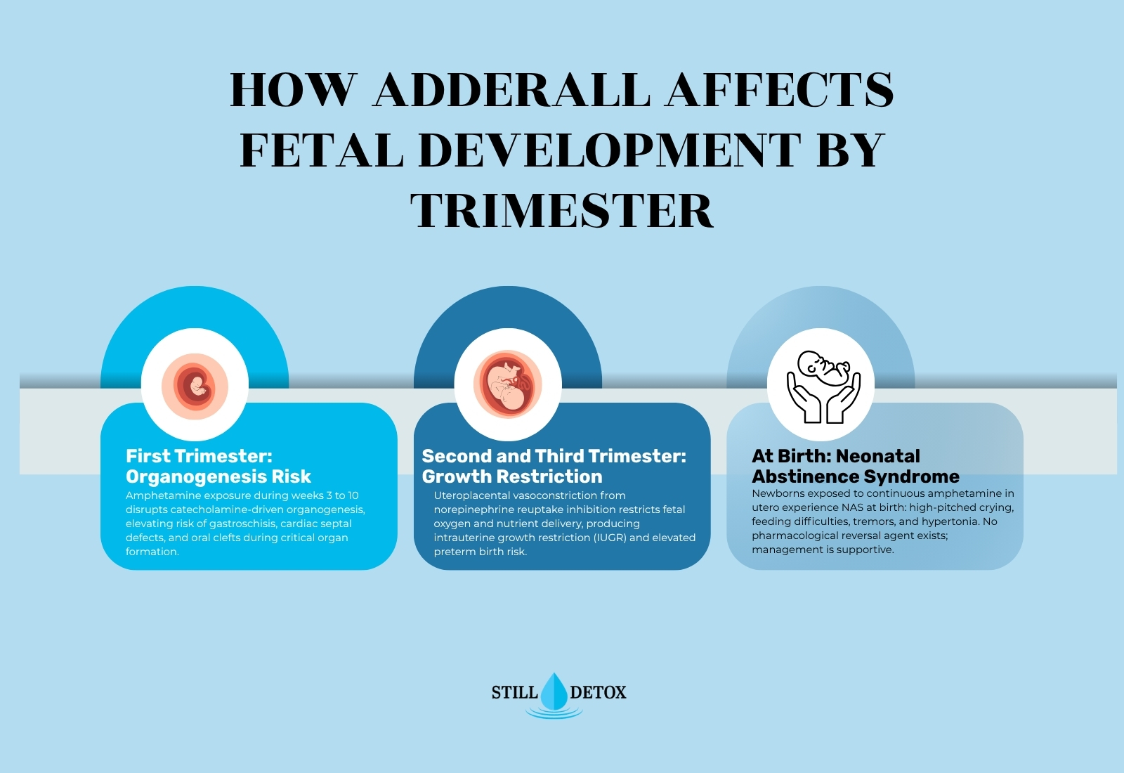 adderall and fetal development