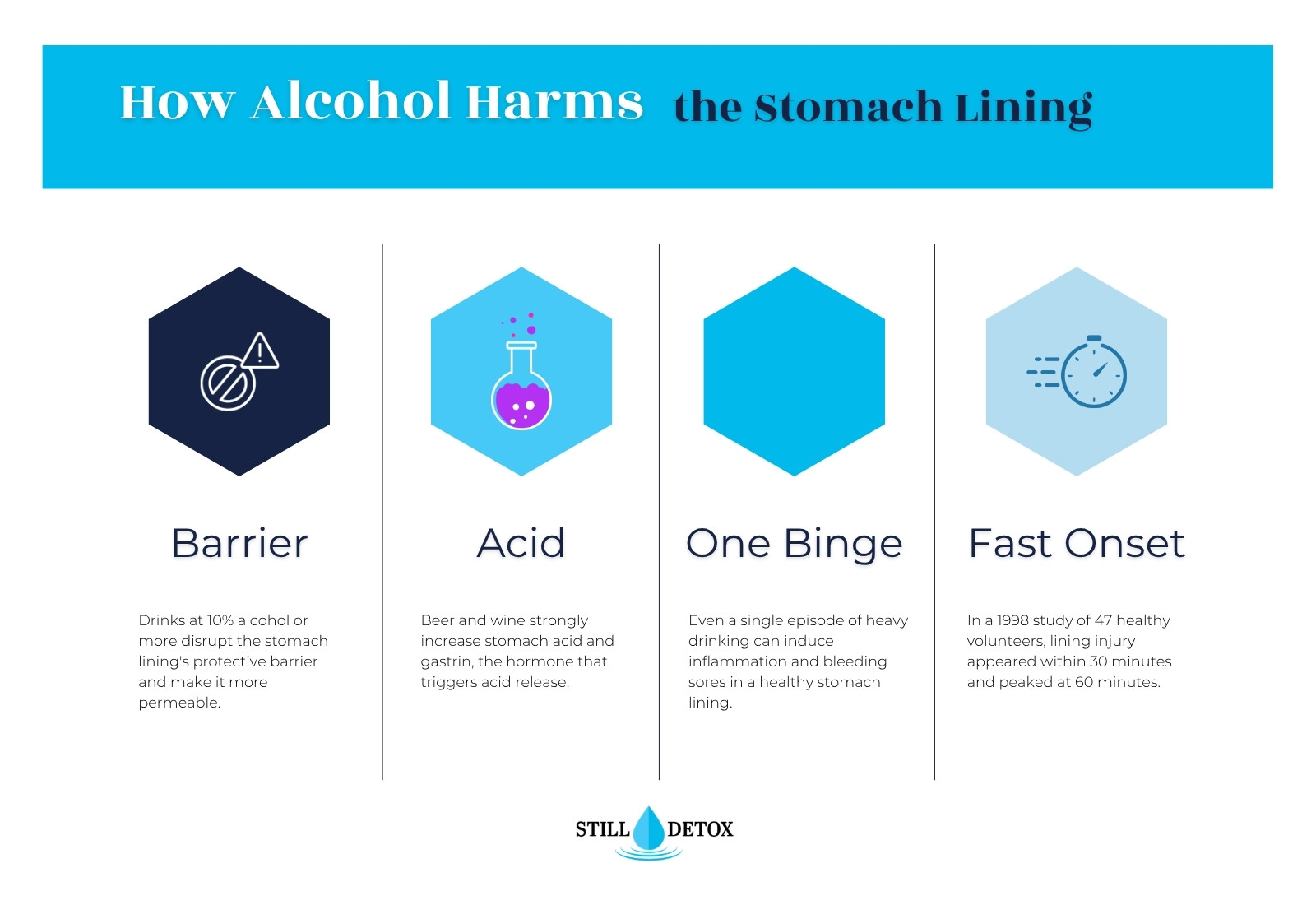 How alcohol harms the stomach lining: barrier damage, extra stomach acid from beer and wine, injury after one binge and fast onset within 30 minutes