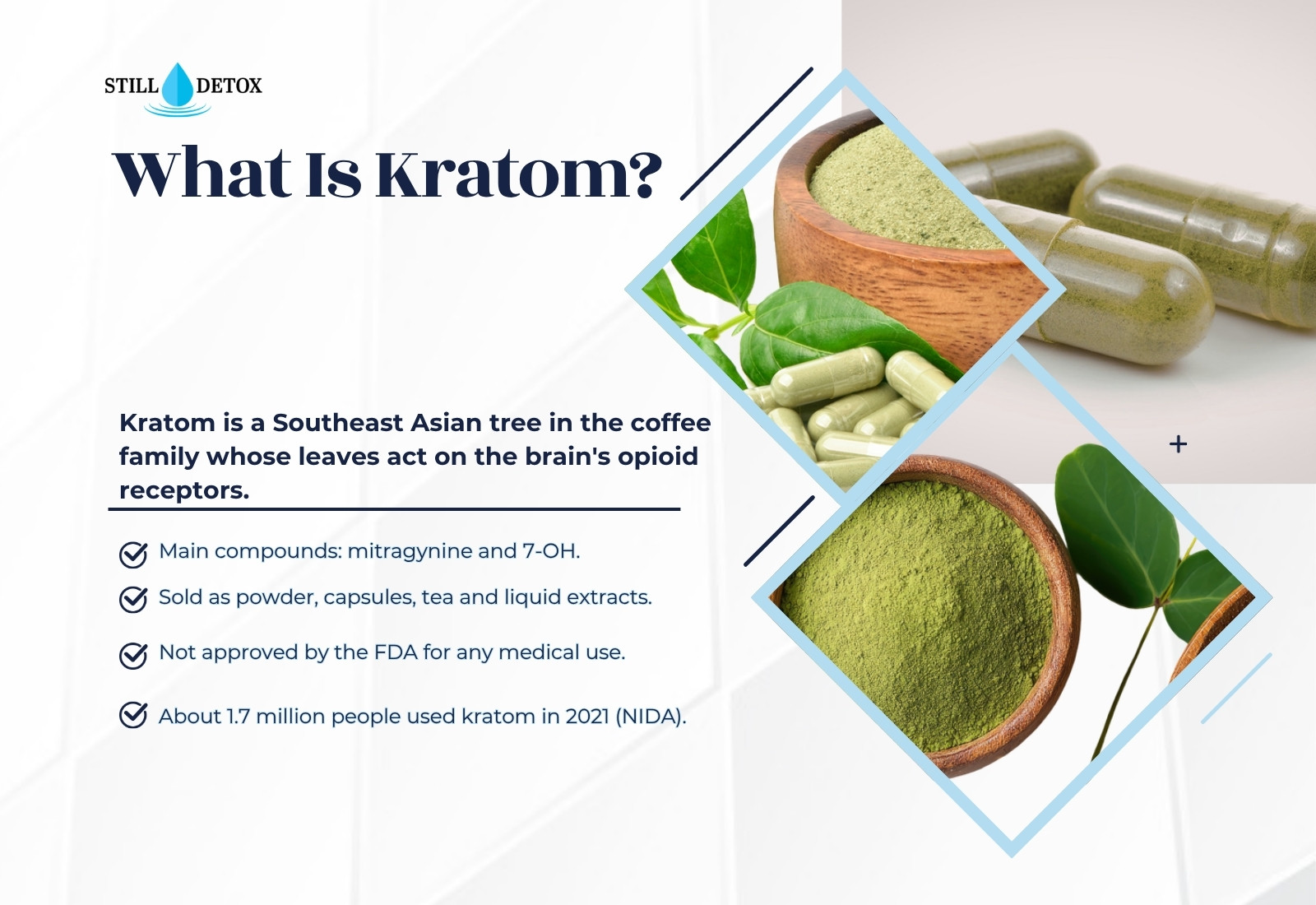 What is kratom key facts infographic: a Southeast Asian tree in the coffee family, leaves with mitragynine and 7-OH, sold as powder, capsules and tea, and not approved by the FDA