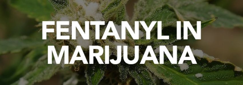 fentanyl in marijuana