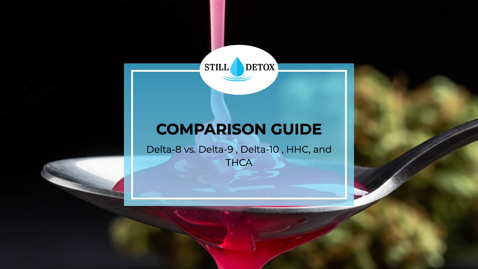 Comparison Guide: Delta-8 vs. Delta-9 , Delta-10 , HHC, and THCA title card from Still Detox