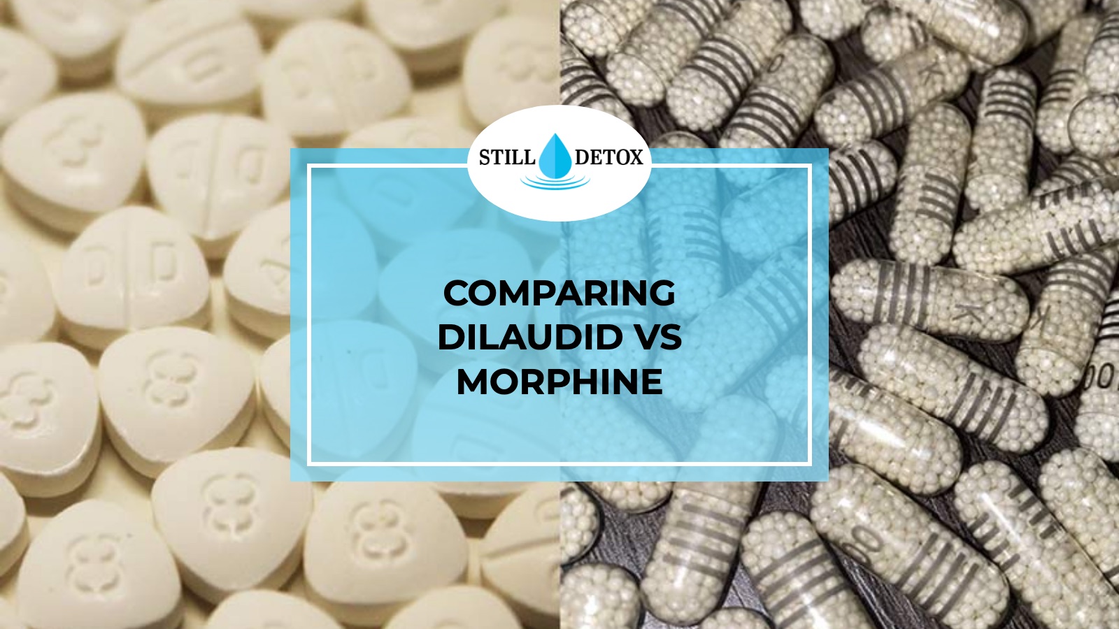 Comparing Dilaudid vs Morphine title card from Still Detox