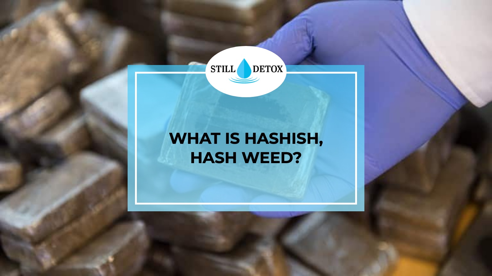 What is Hashish, Hash Weed? title card from Still Detox