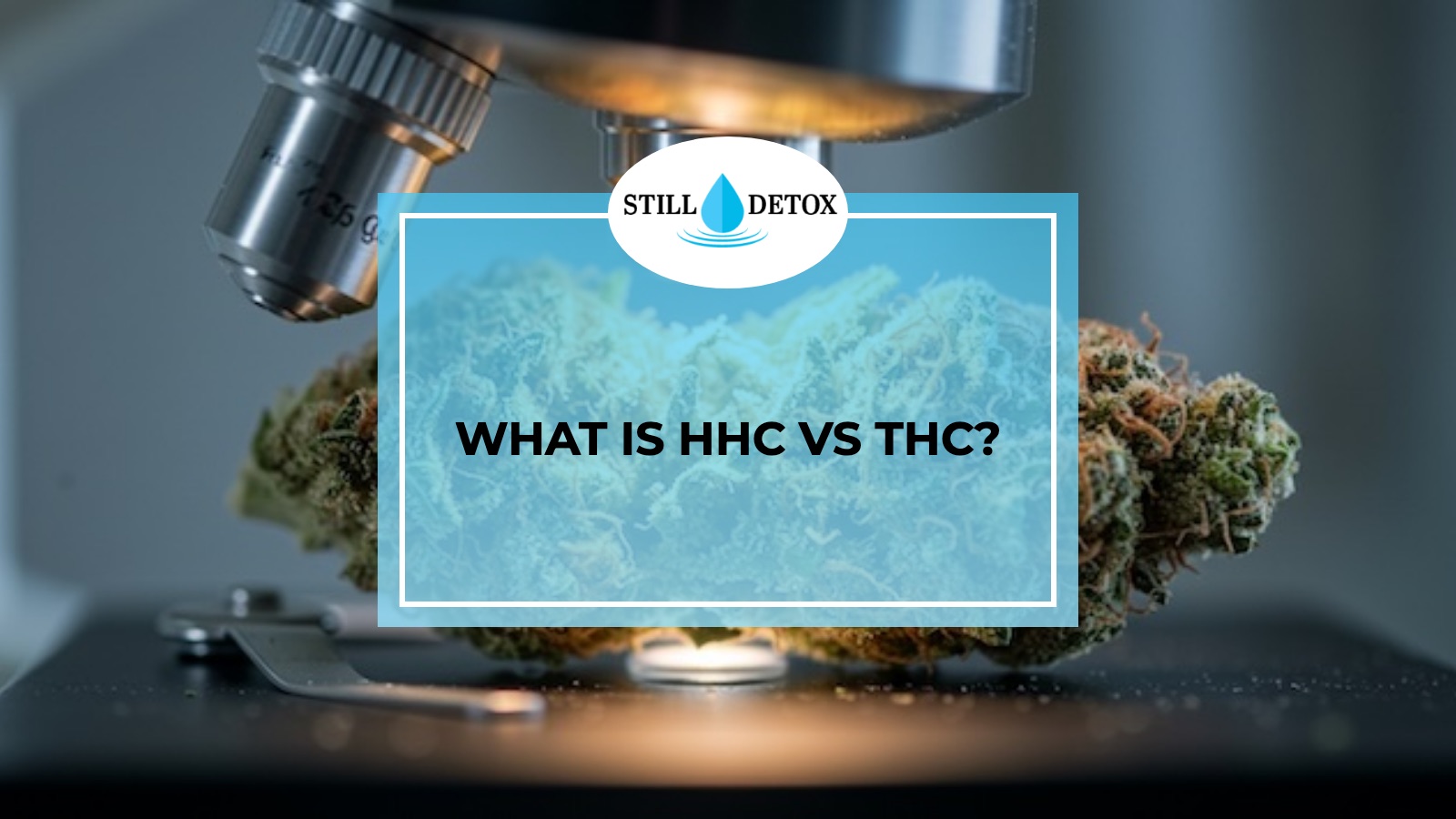 What is HHC vs THC? title card from Still Detox