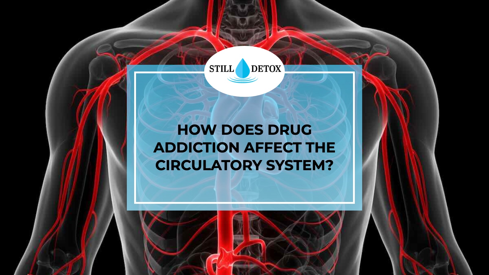 How Does Drug Addiction Affect the Circulatory System? title card from Still Detox