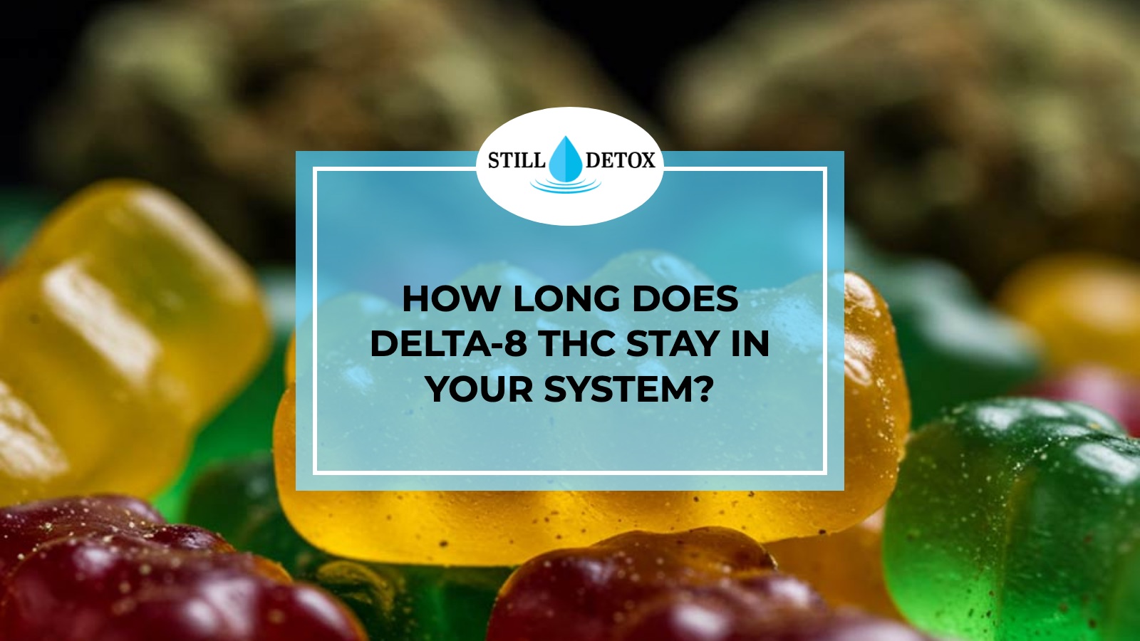 How Long Does Delta-8 THC Stay in Your System? title card from Still Detox