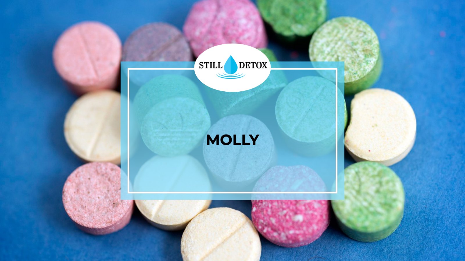 Molly title card from Still Detox
