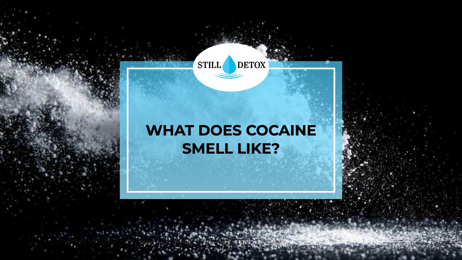 What Does Cocaine Smell Like? title card from Still Detox