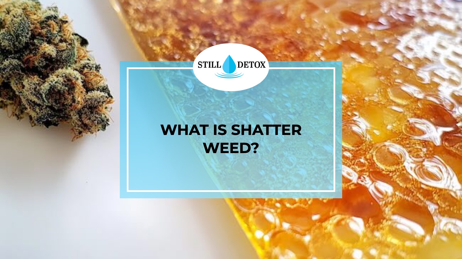 What is shatter weed? title card from Still Detox