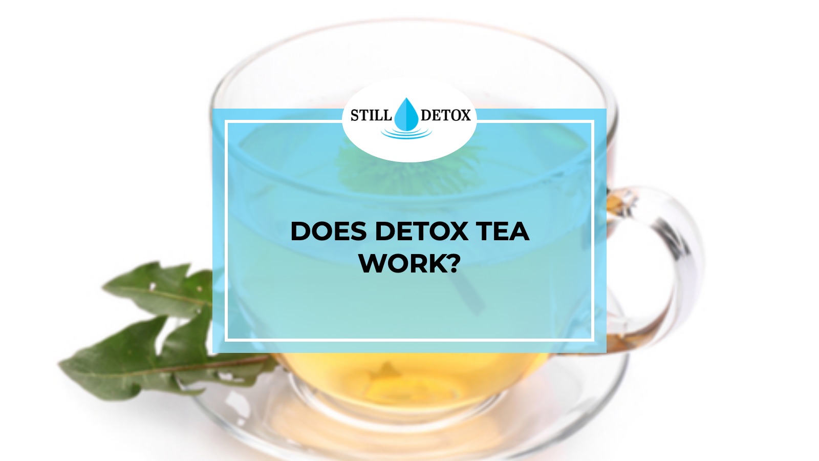 Does Detox Tea Work? title card from Still Detox